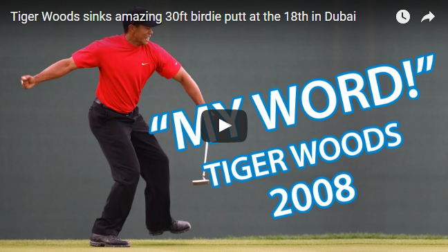 Fitzpatrick wins Dubai finale, Stenson takes Race to Dubai